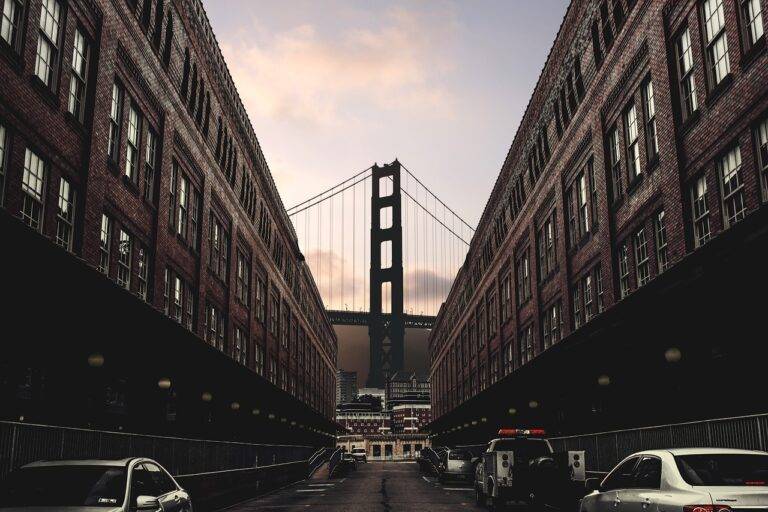 Harnessing Big Data Analytics for Business Growth