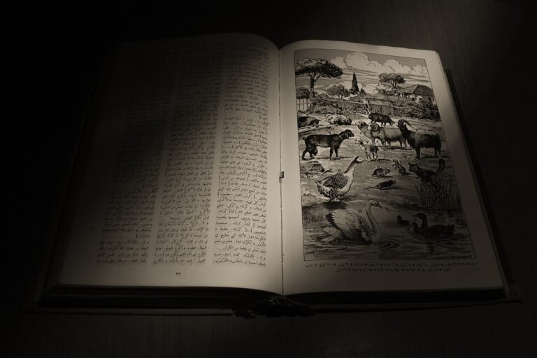 Promoting Gender Equity in STEM Fields Through Education