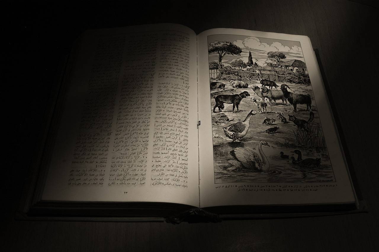 Promoting Gender Equity in STEM Fields Through Education