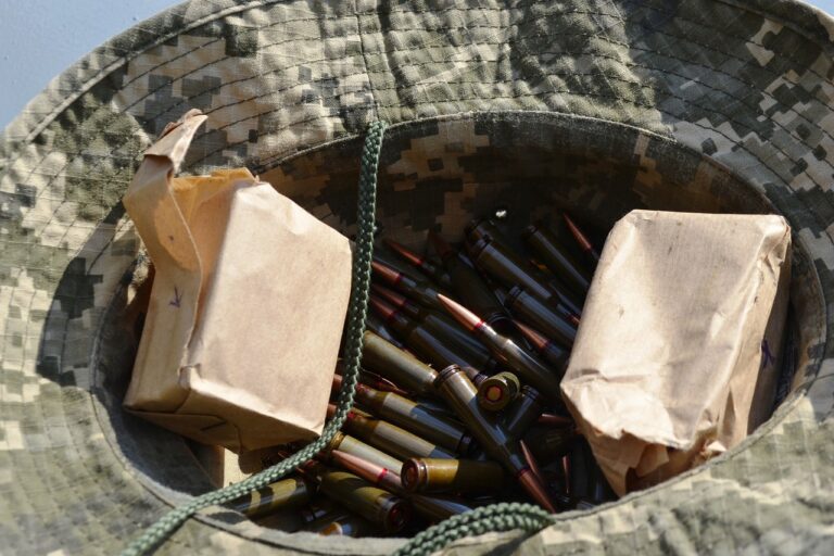 Understanding the Role of Grit and Resilience in Student Success