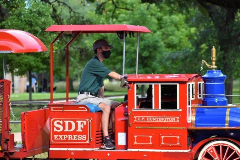 The Art of Adaptation: From Book to Screen